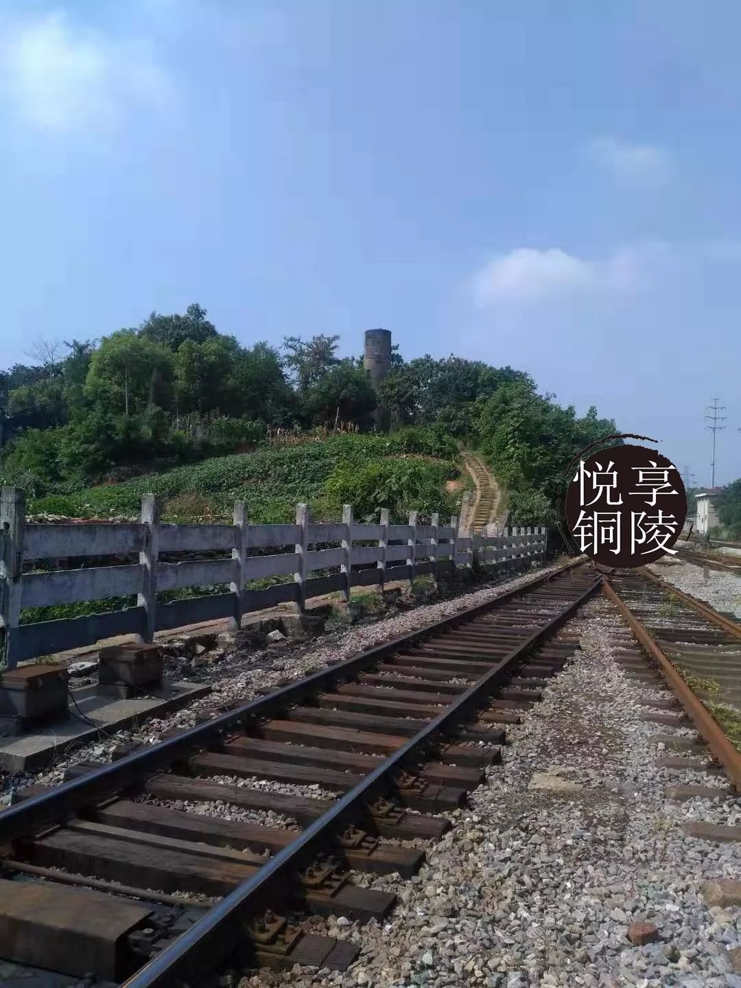 网友爆料:俞家村铁道口处疑似有人偷水灌溉 老葡京网上娱乐