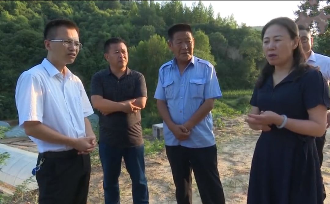 段玉凤在砖窑湾镇巡河检查