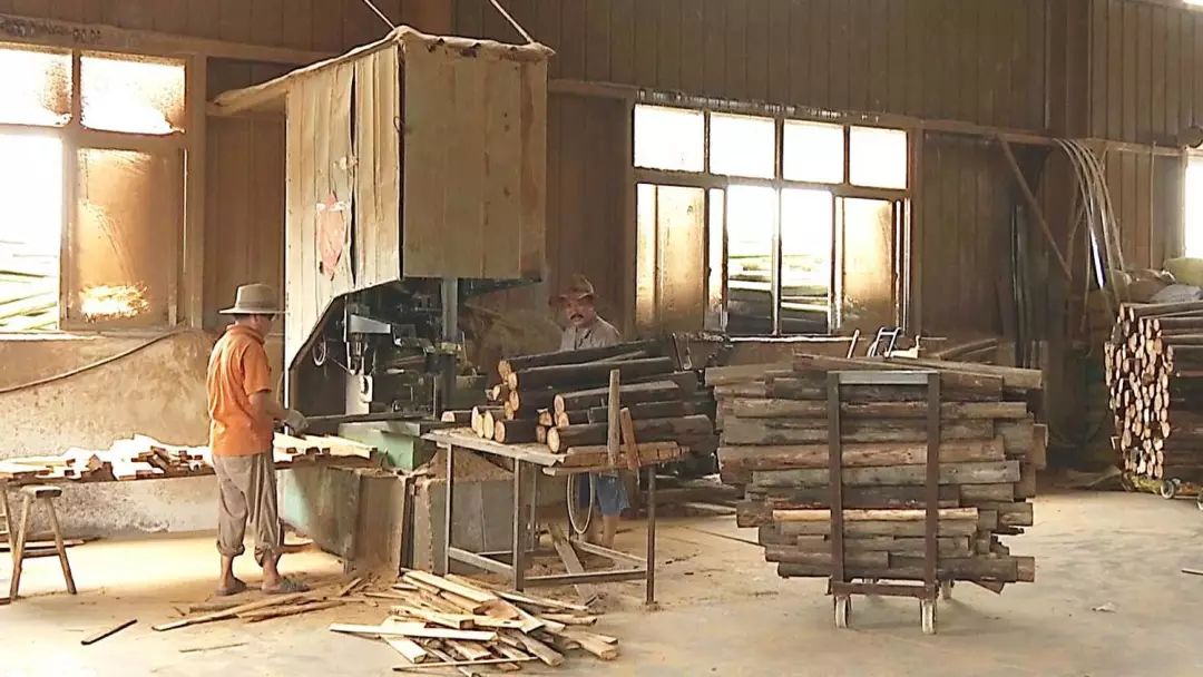 【今晚播出】衢州柯城区：上叶村木材加工市场违规使用设施农用地