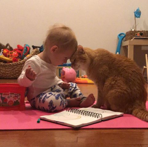 和男友吵架之后,我的猫竟然做出了这个举动·