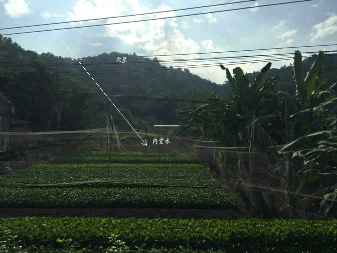 华人首富李嘉诚祖坟风水王君植大师风水考察360度风水解密