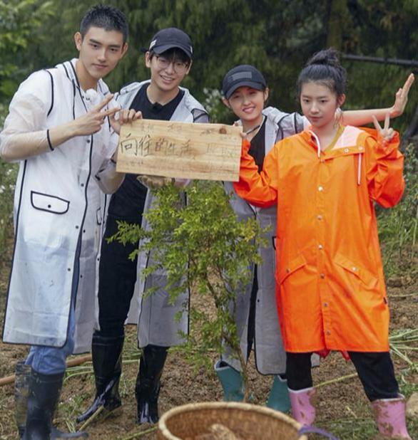 一眼万年,《向往3》陈飞宇看张子枫那一个眼神有了续集