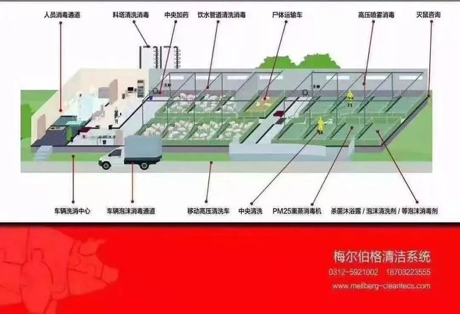 荧光定量pcr法检测乙肝病动_荧光定量pcr检测法(3)