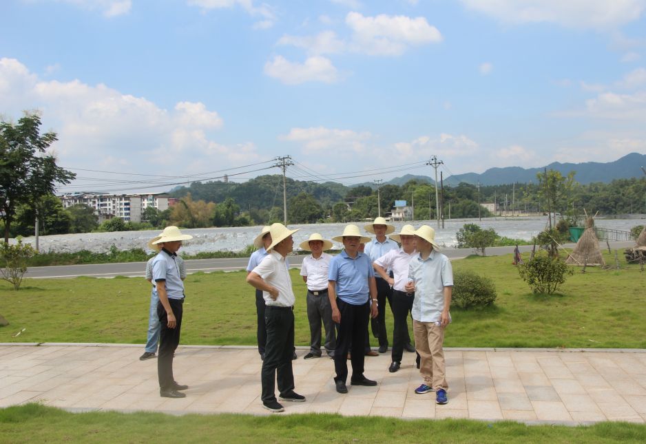 干好每一天三明市政府党组成员陈瑞喜调研万寿岩文旅服务项目启动情况