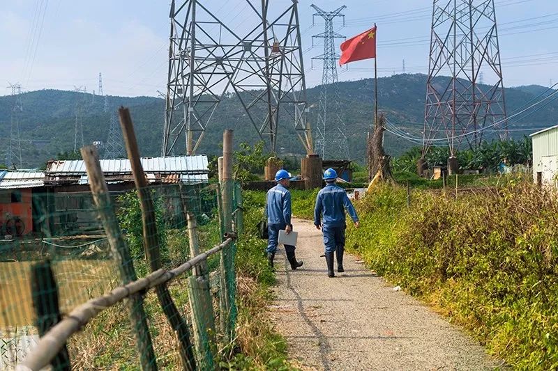 防风人口研究_中药防风图片(3)