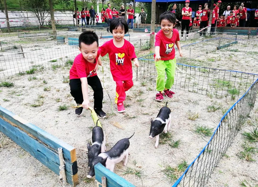 番禺格林东庄三人拼团疯抢价仅179元2大1小畅玩五大项目磨豆浆射箭