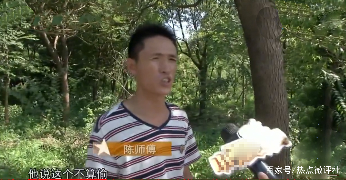 无助的瓜农,28个大棚“万斤西瓜”被一扫光,新埭民警:不算偷! e世博平台