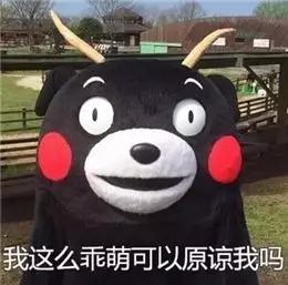 73711336a67a43418d7e70b9175c05bb.JPG