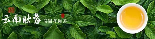 人不争,事不比,茶不满