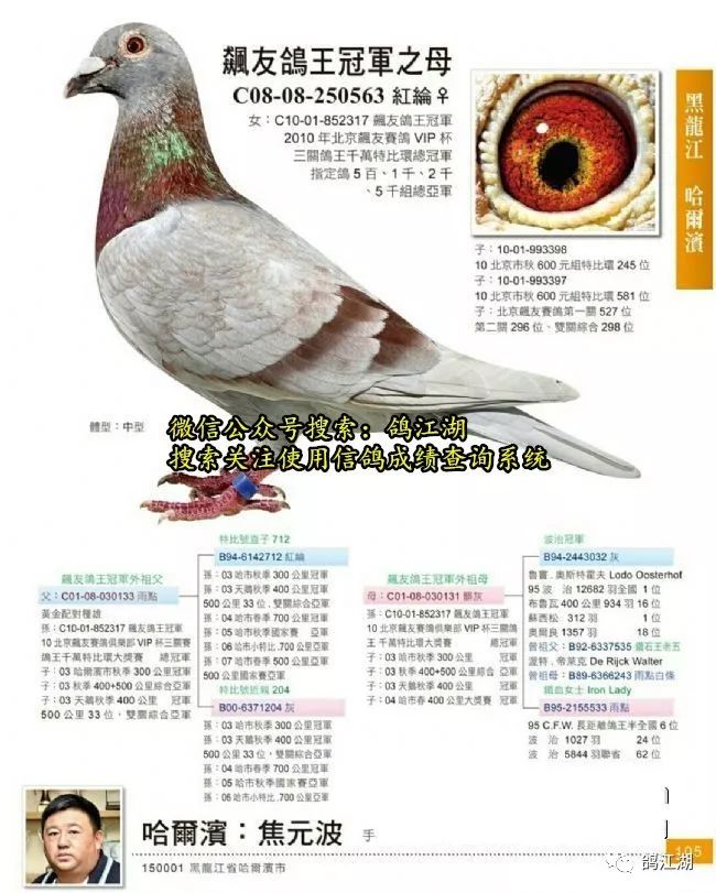 新城疫,腺病毒,沙门氏,衣原体,流感 五联防