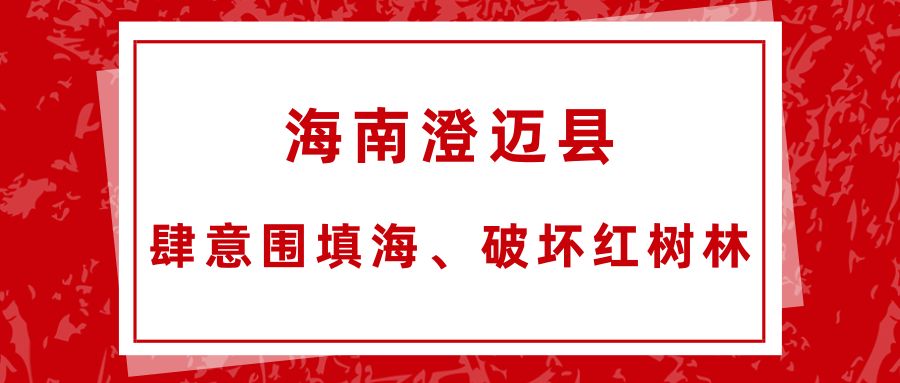 肆意围填海、破坏红树林……中央生态环保督察典型案例通报! 龙八国际平台手机版