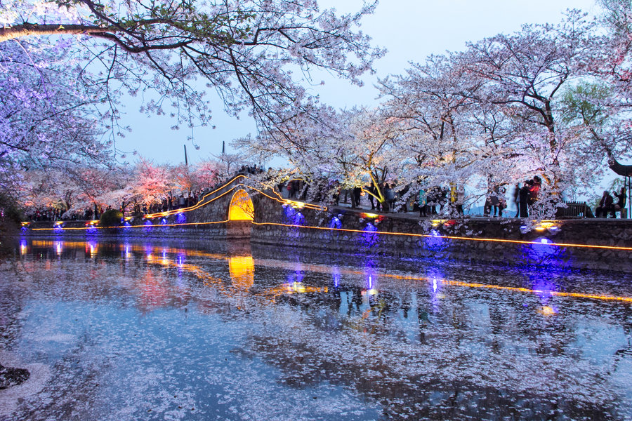 去年地级以上城市经济总量_夜晚城市图片(2)