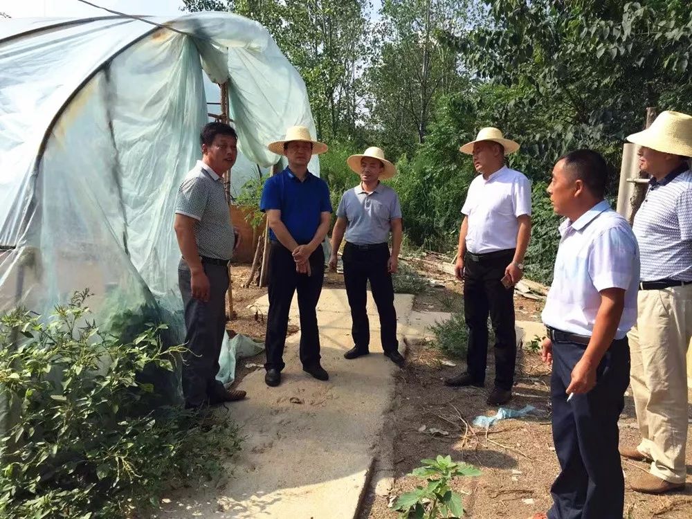 李清国带队督办陈家河高新区段河长制落实情况