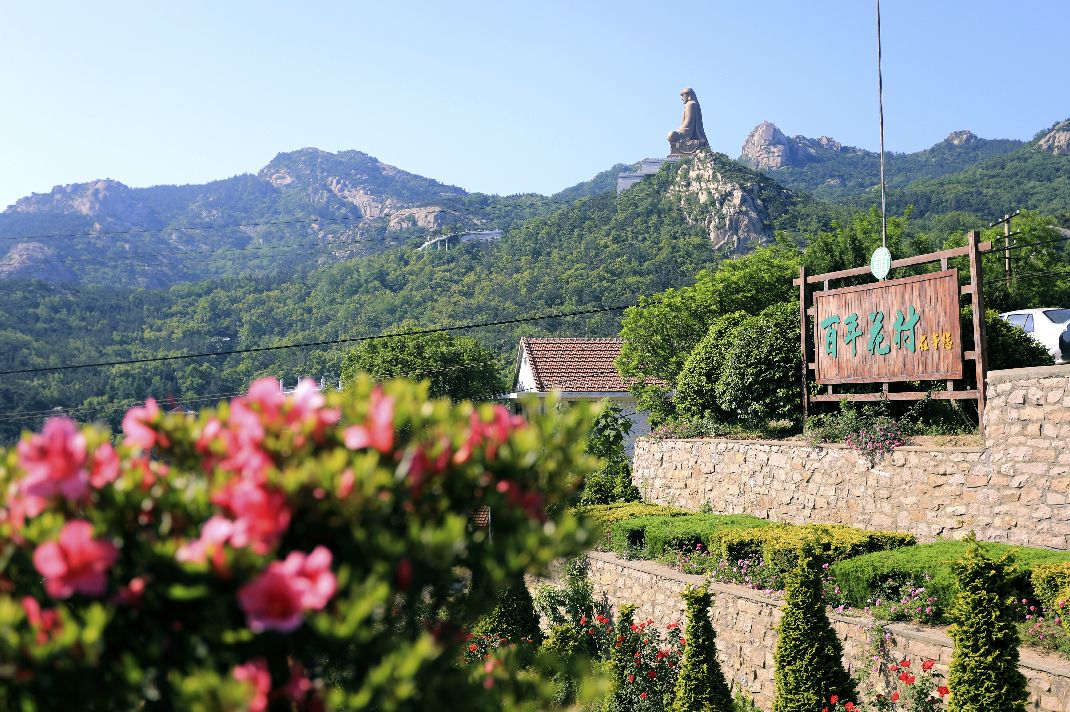 山东农科频道《乡村季风》栏目走进百年花村
