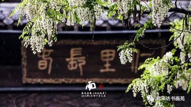 落雨听禅曲谱_落雨听禅的唯美图片(3)