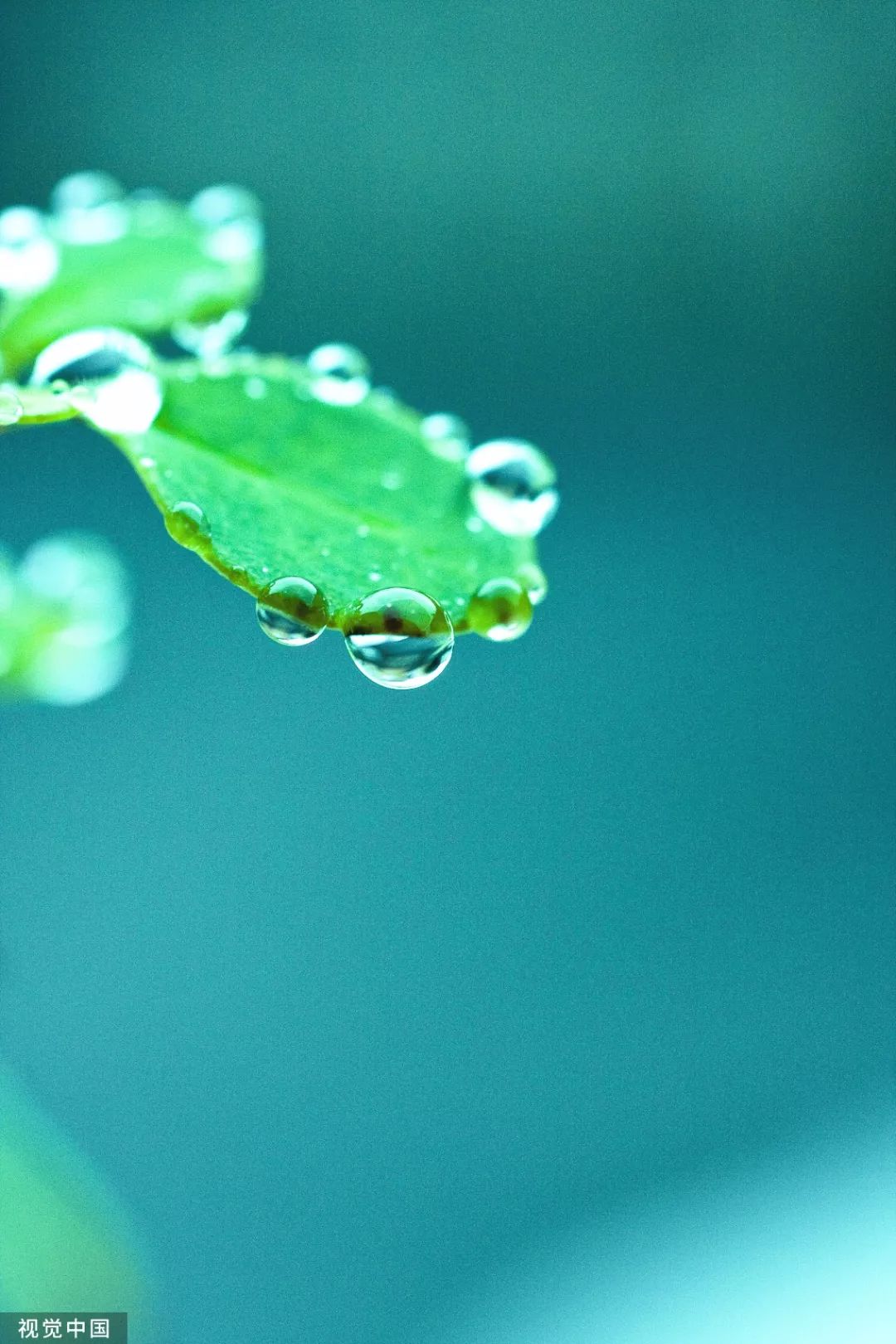 什么时候天气会转凉了 8e7dbec1b75b4790901a774673d5a846.jpeg