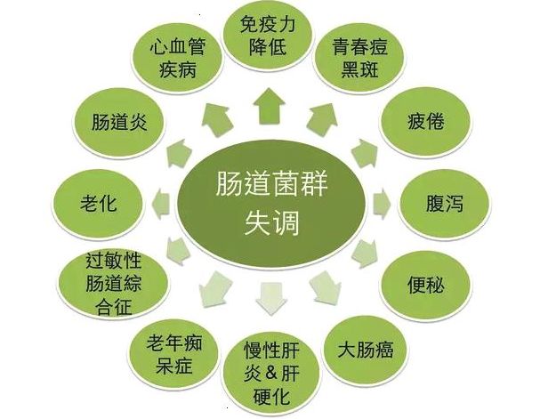 什么可以减少炎症反应 96c97e67f3ae41b780c29583c15faeab.jpeg