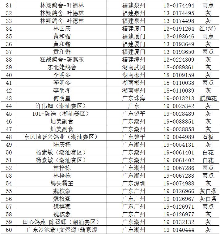 红枫小棚2019年秋赛弃权鸽名单