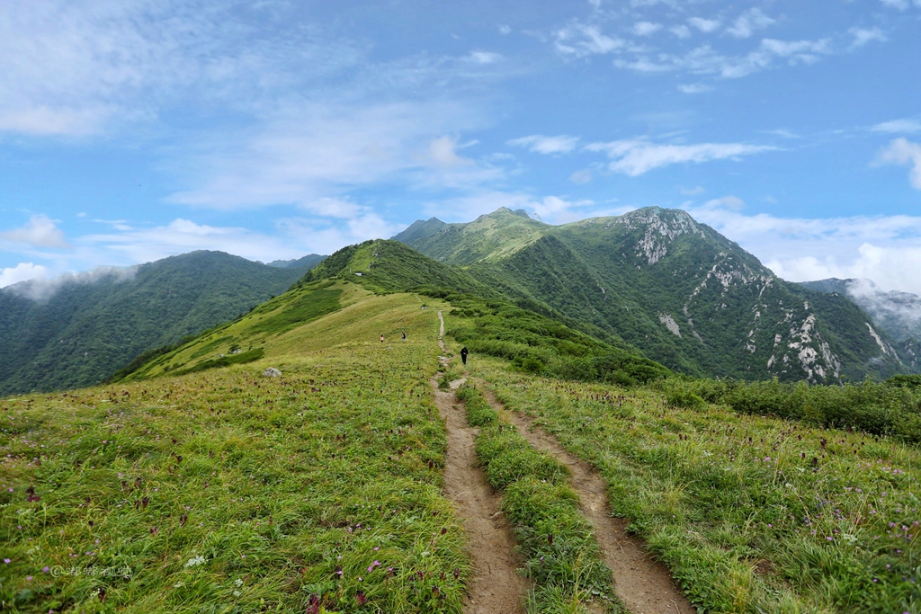 一座非凡的山脉必然有着不同寻常的身世游历终南山秦楚古道