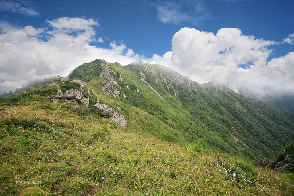一座非凡的山脉 必然有着不同寻常的身世 游历终南山秦楚古道