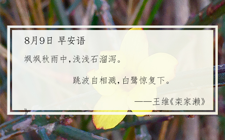 早读:新的一天,从这份新闻早餐开始 玛雅论坛注册