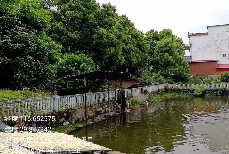 新农村 新气象 彭泽县马路口的华丽蜕变_黄花镇