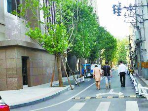 十年老笋盘扎堆入市 利好与“神坑”并存 十年老笋盘扎堆入市 利好与“神坑”并存