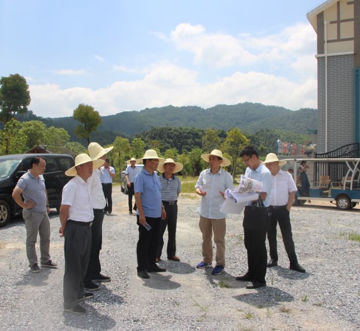 干好每一天三明市政府党组成员陈瑞喜调研万寿岩文旅服务项目启动情况