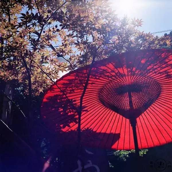 在正安,感觉还没好好热一场,秋天就来了