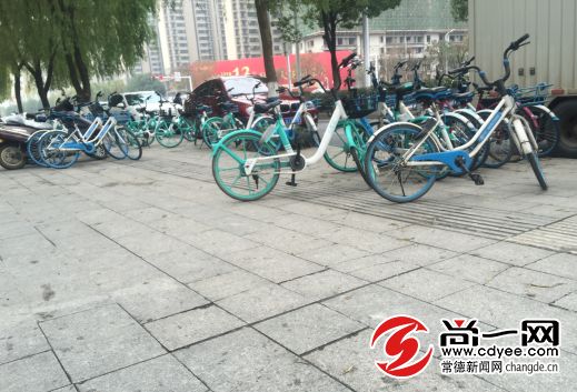 共享单车停放区域怎么找 aef28892ed05478b9cf7801990572f5f.jpeg
