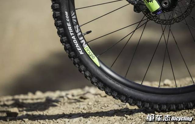 再进击迪卡侬万元入门款软尾am100s发布