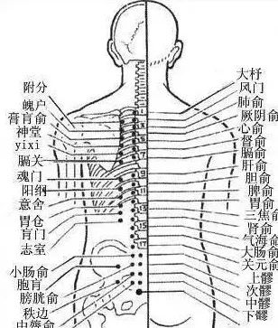 膀胱经很重要,长揉按,捏脊疏通气机