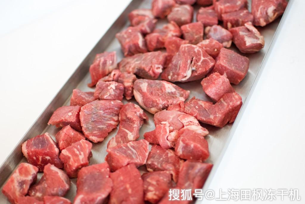 肉类冻干生产工艺宠物食品冻干机设备