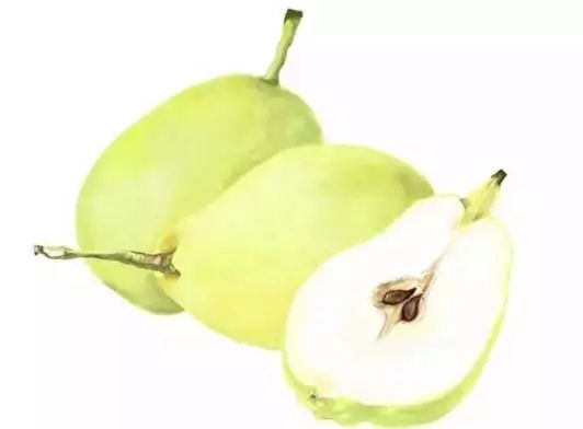 8个月宝宝适合吃哪种梨 c798051d86834333a688bd4bbced8772.jpeg