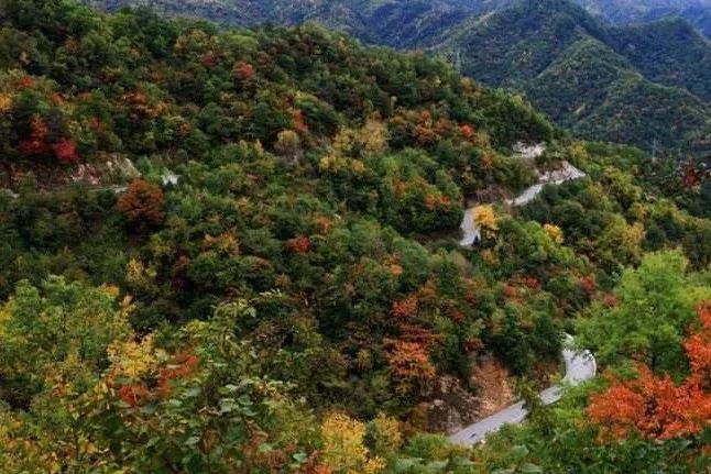 【山水行*自驾招募】千里太行第一景 龙泉国家森林公园