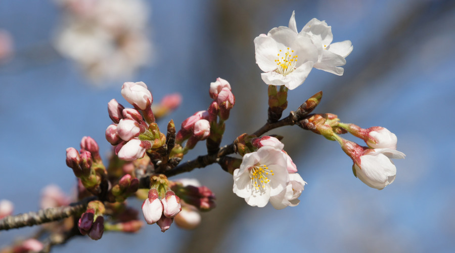 都优乐:选人看三心