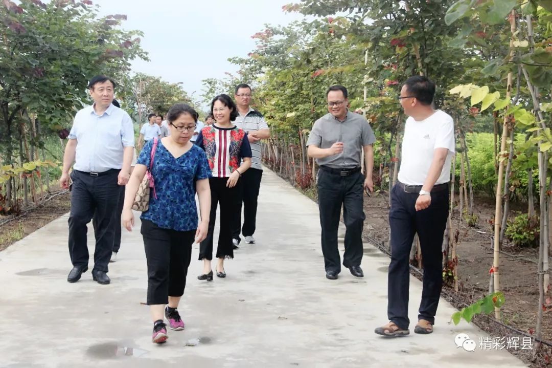 国家统计局调研组莅辉调研农村统计基础规范化及生态农业发展状况