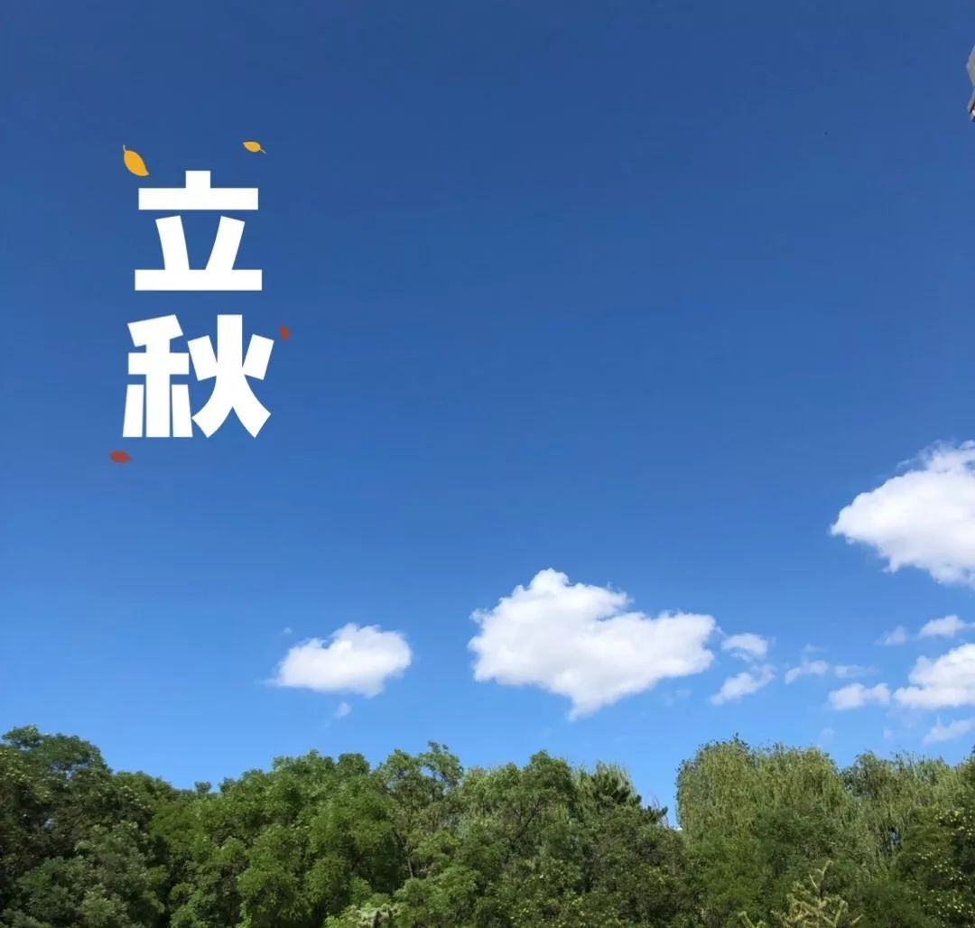 成语什么微凉_微凉什么歌(3)