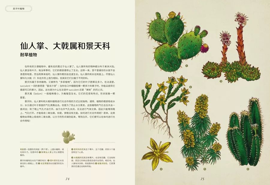 【8月微信精品特惠】影响孩子一生的自然课《植物博物馆》6折特惠