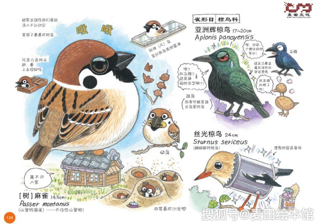 富士鹰茄子:我把我的好运都献给了一本图画书_麻雀