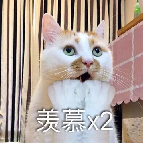 失踪人口表情包_失踪人口(3)