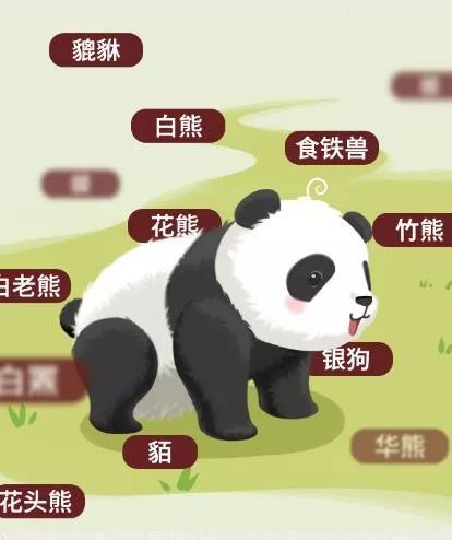 结果…_熊猫