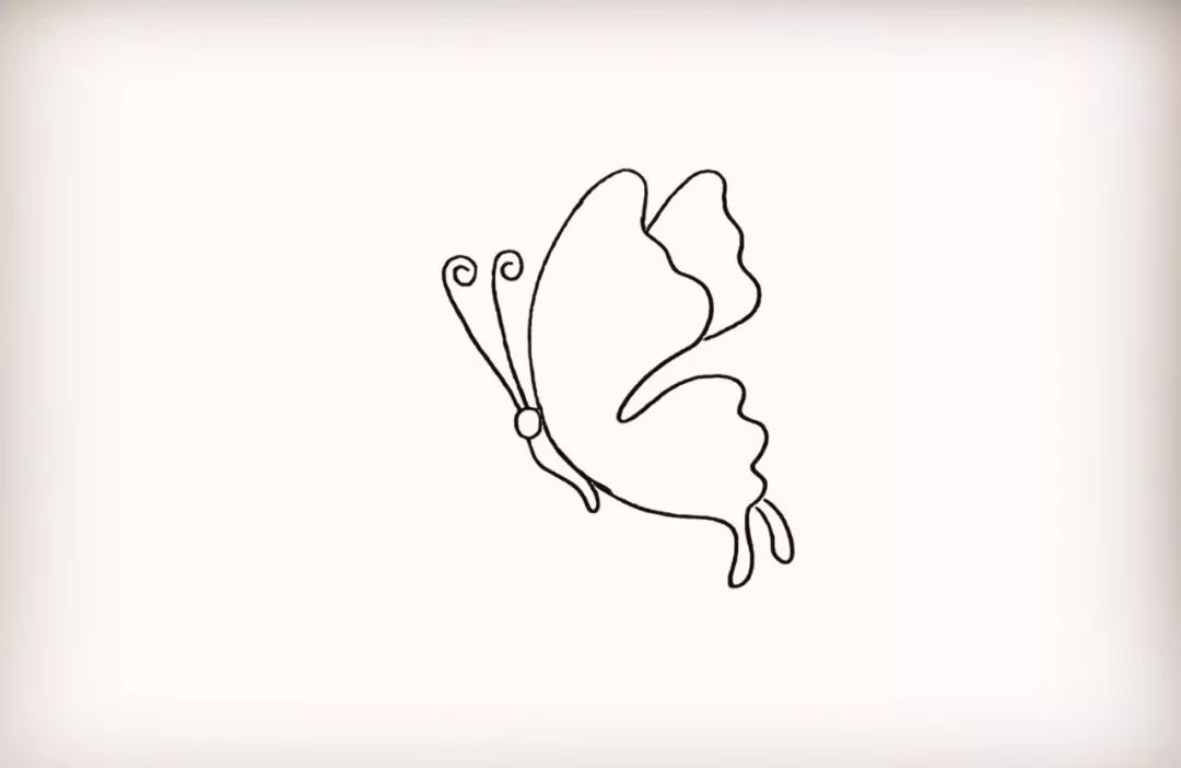 注意线条的变化. 第二步 用曲线连接弧线.这是蝴蝶的翅膀. 仔细观察.