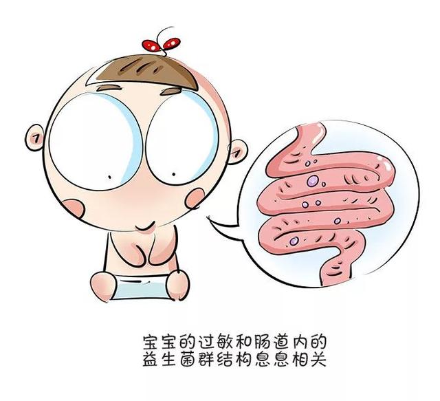                     原创            宝宝容易过敏怎么办？妈妈们提早准备，从孕期就做好防火墙！