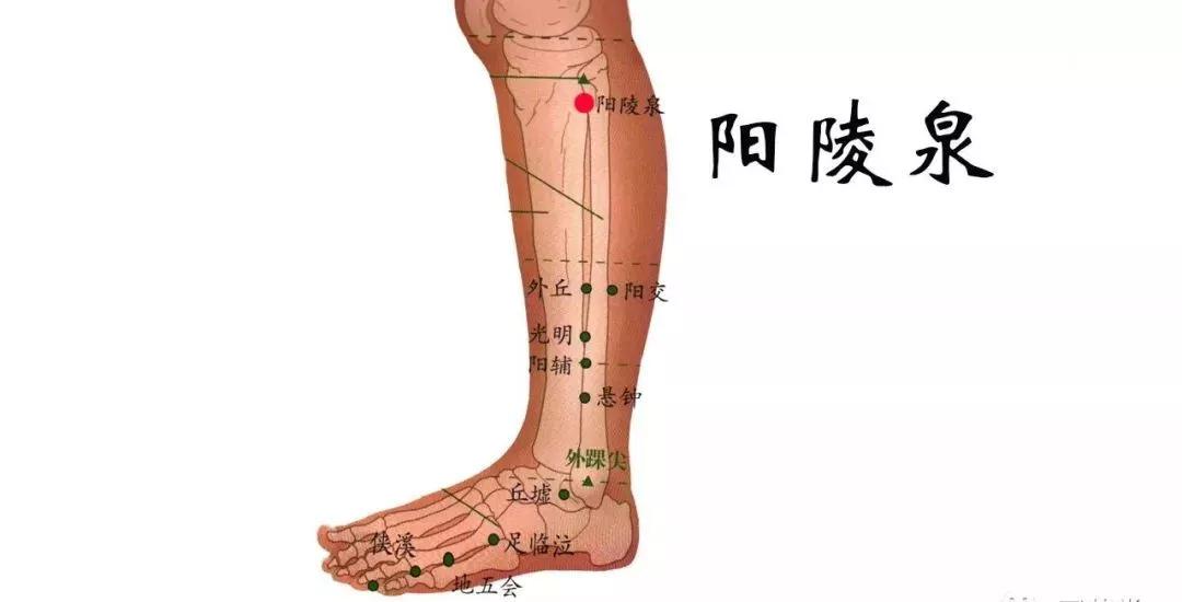 5, 曲池,阳陵泉