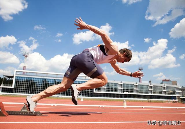 新手多久可以跑步10公里 1290e434339847e0b1aabd036748d0b1.jpeg