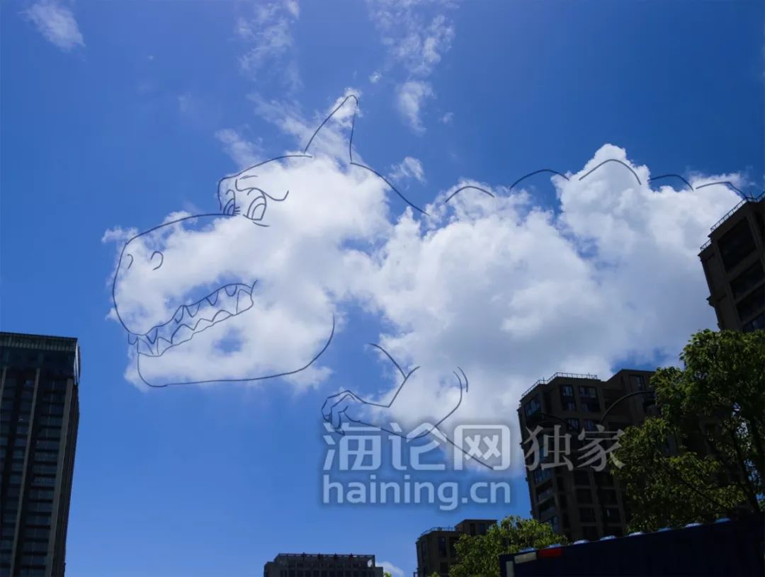 利奇马正逼近海宁!汽车被砸、大树连根拔起