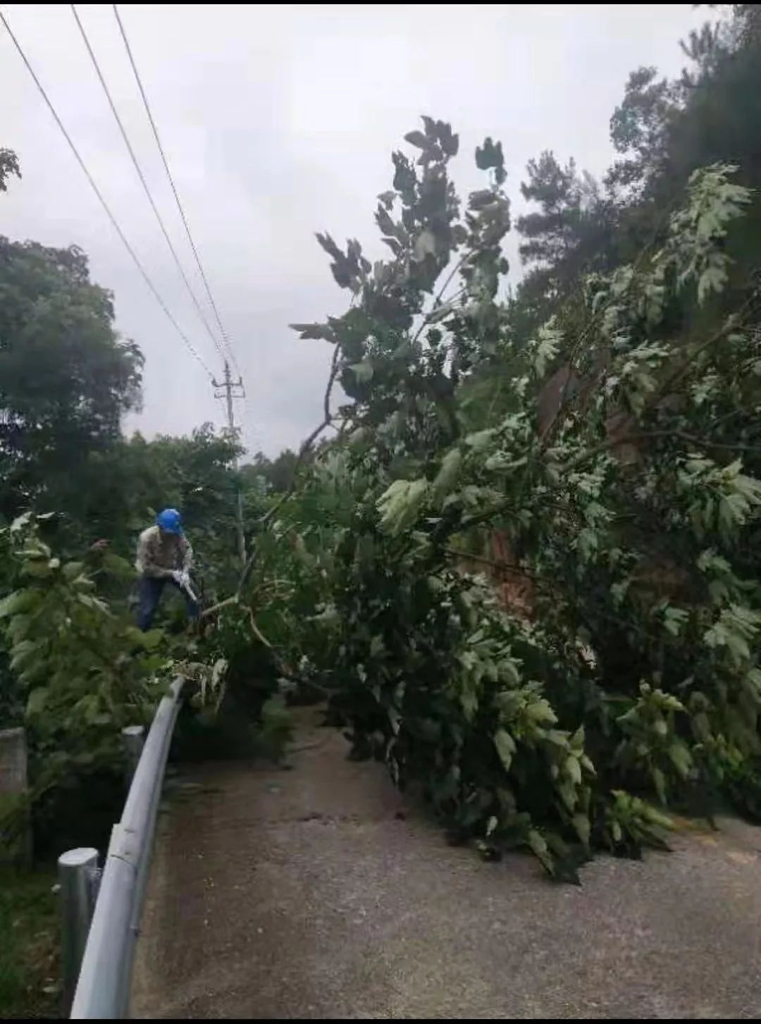 阳郭乡人口_河南大郭乡路西村人口