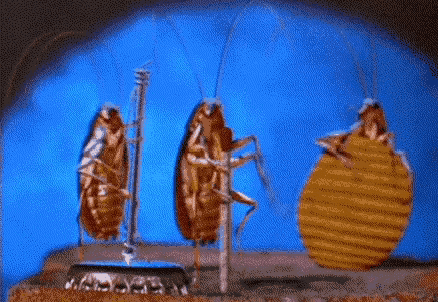 2398d41d83cc438fb307a06451748946.gif