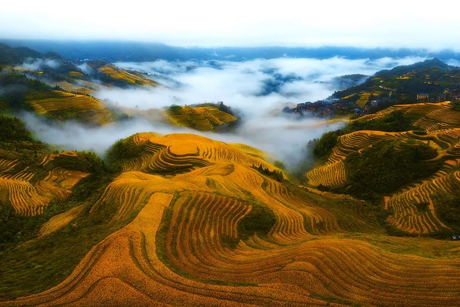 央视纪录片《不朽的遗产-千年龙脊》